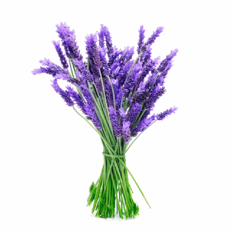 Body Spray de Lavanda Terraflor – 60ml - Image 3